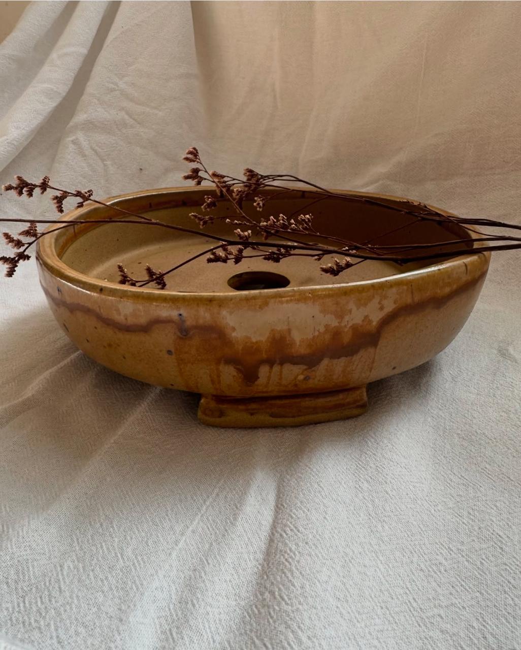 Vaso Bonsai/Flor do deserto. R$267,00. 22x7x5